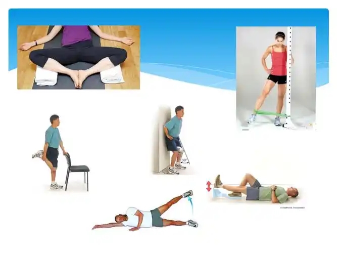 髋关节置换术后多久能康复