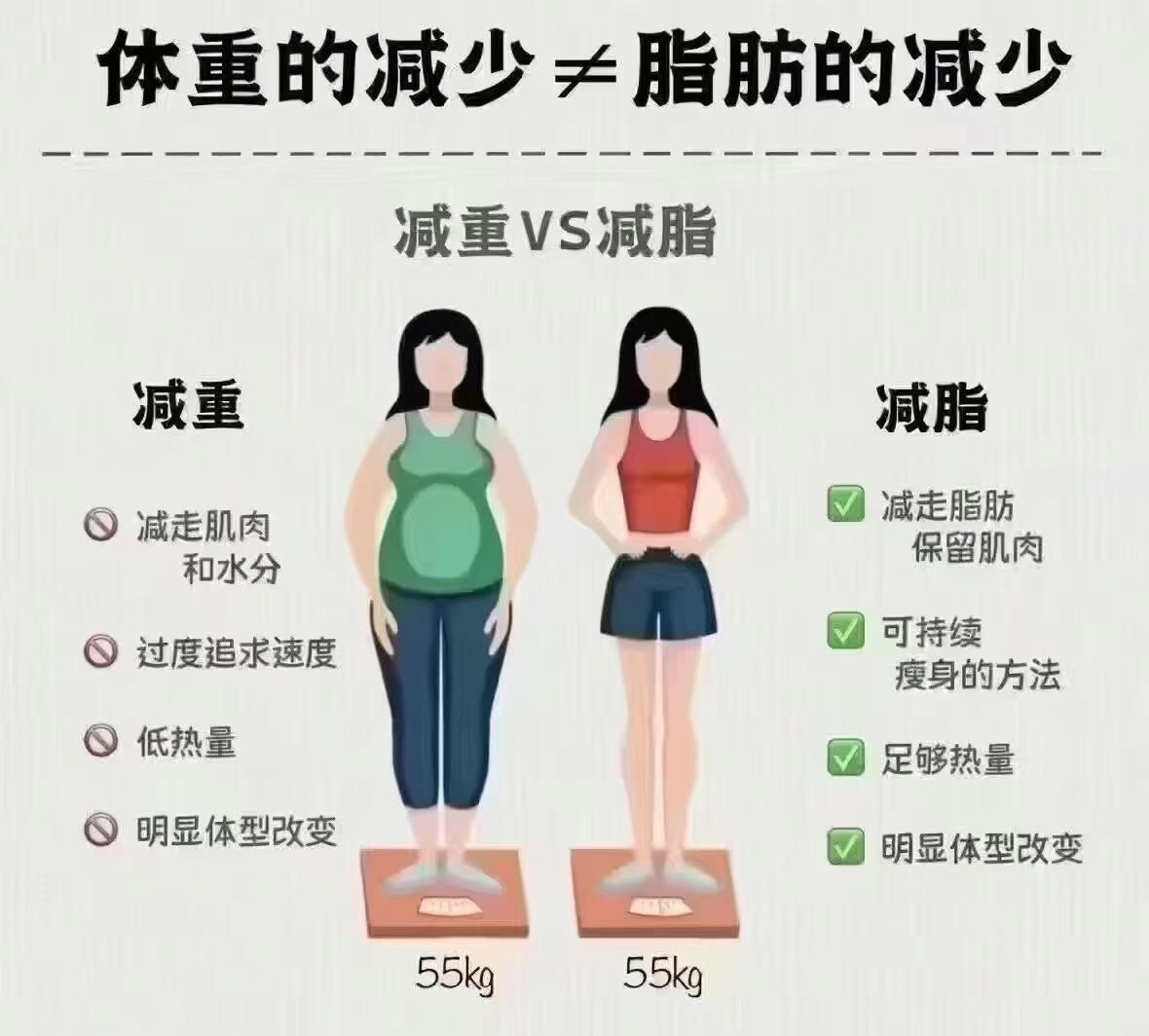 几丁质可以减肥吗