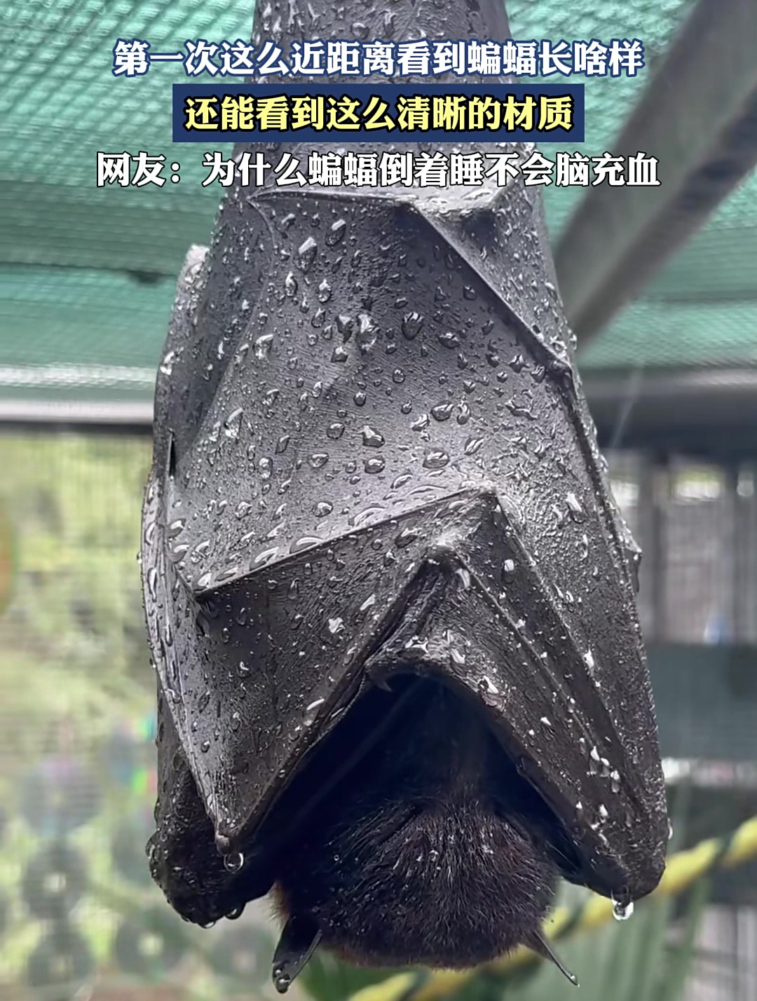 赧忆彤 第3页
