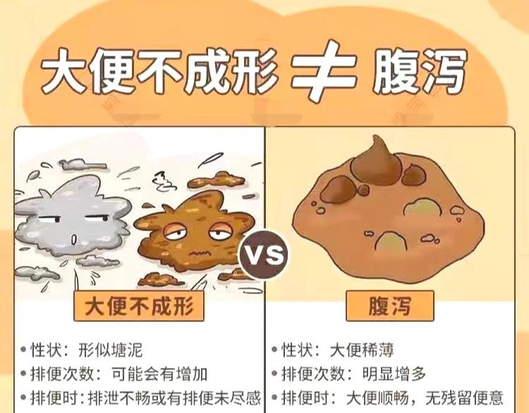 大便稀是怎么回事?