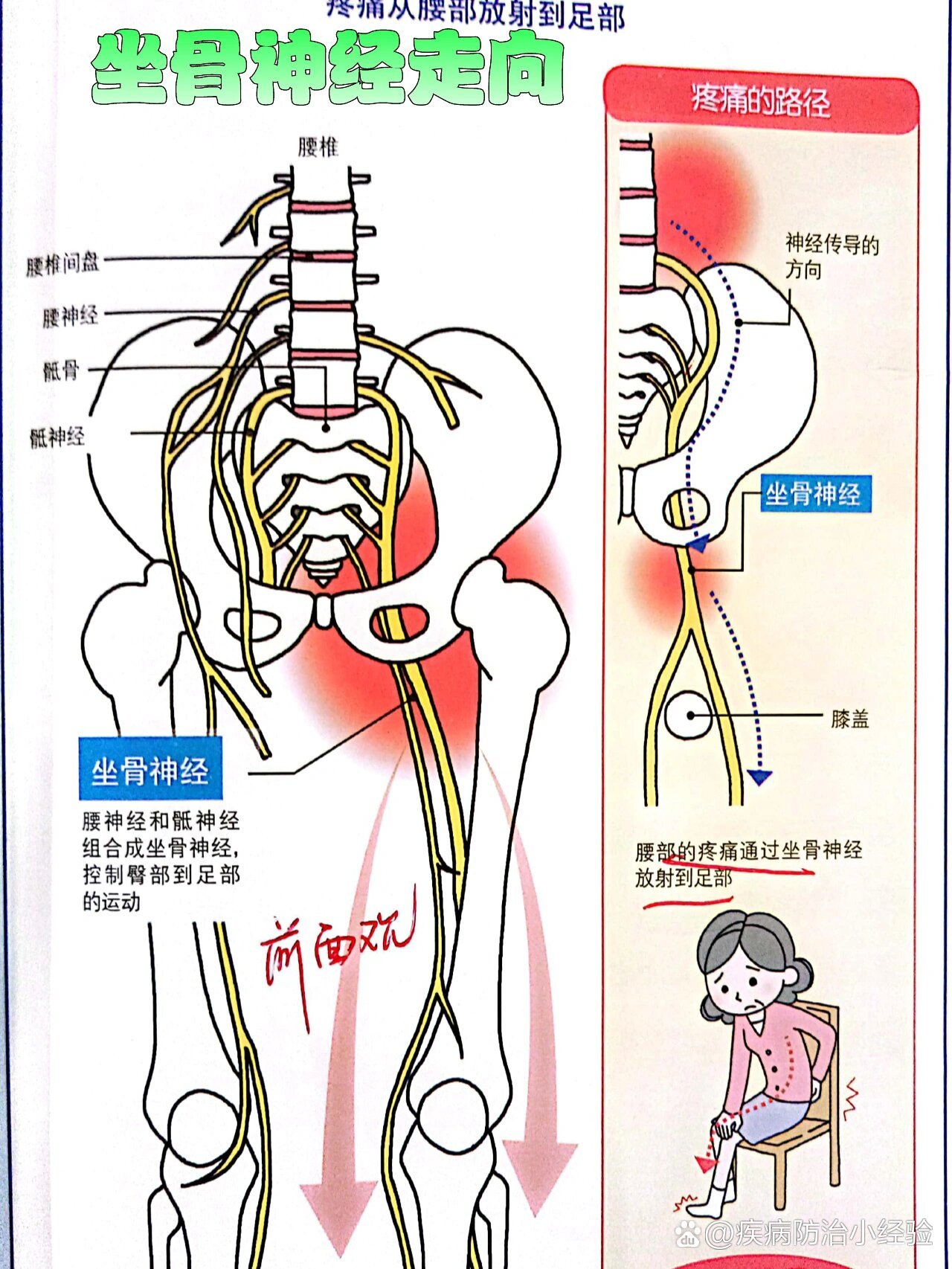 郭温文 第2页