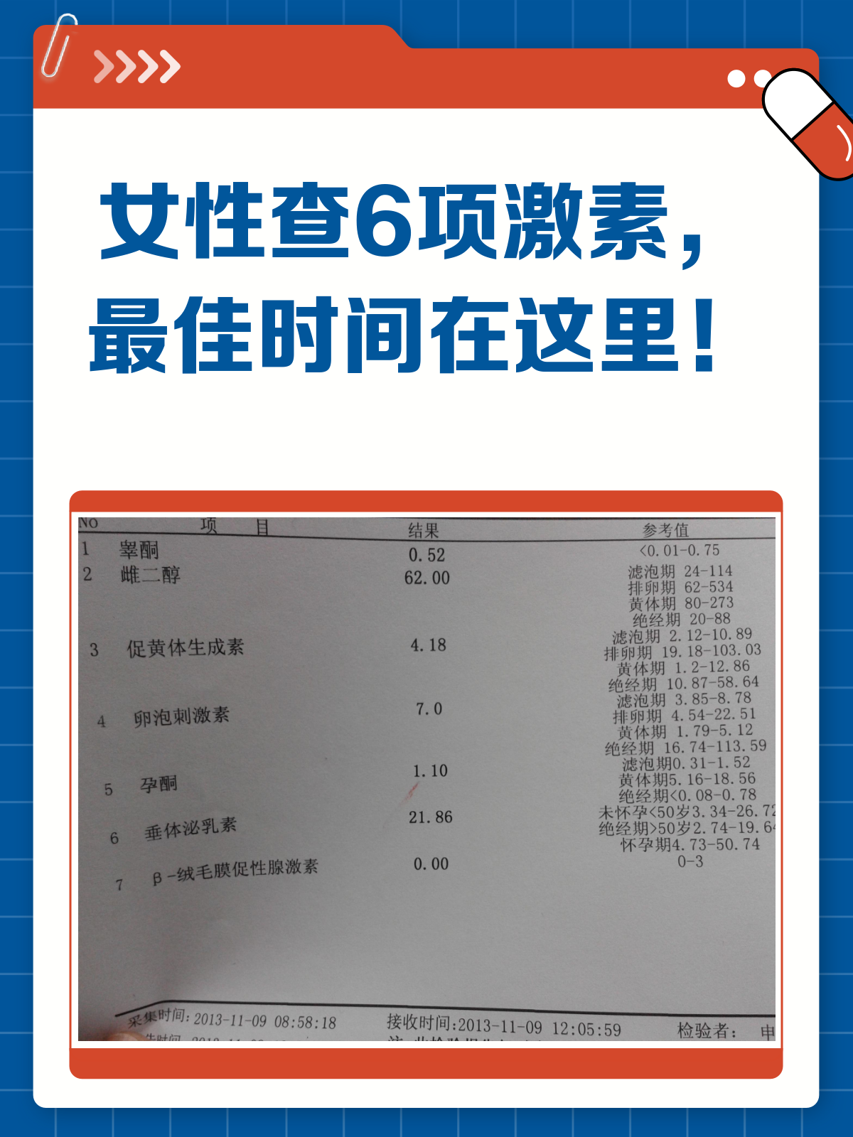植掣 第3页