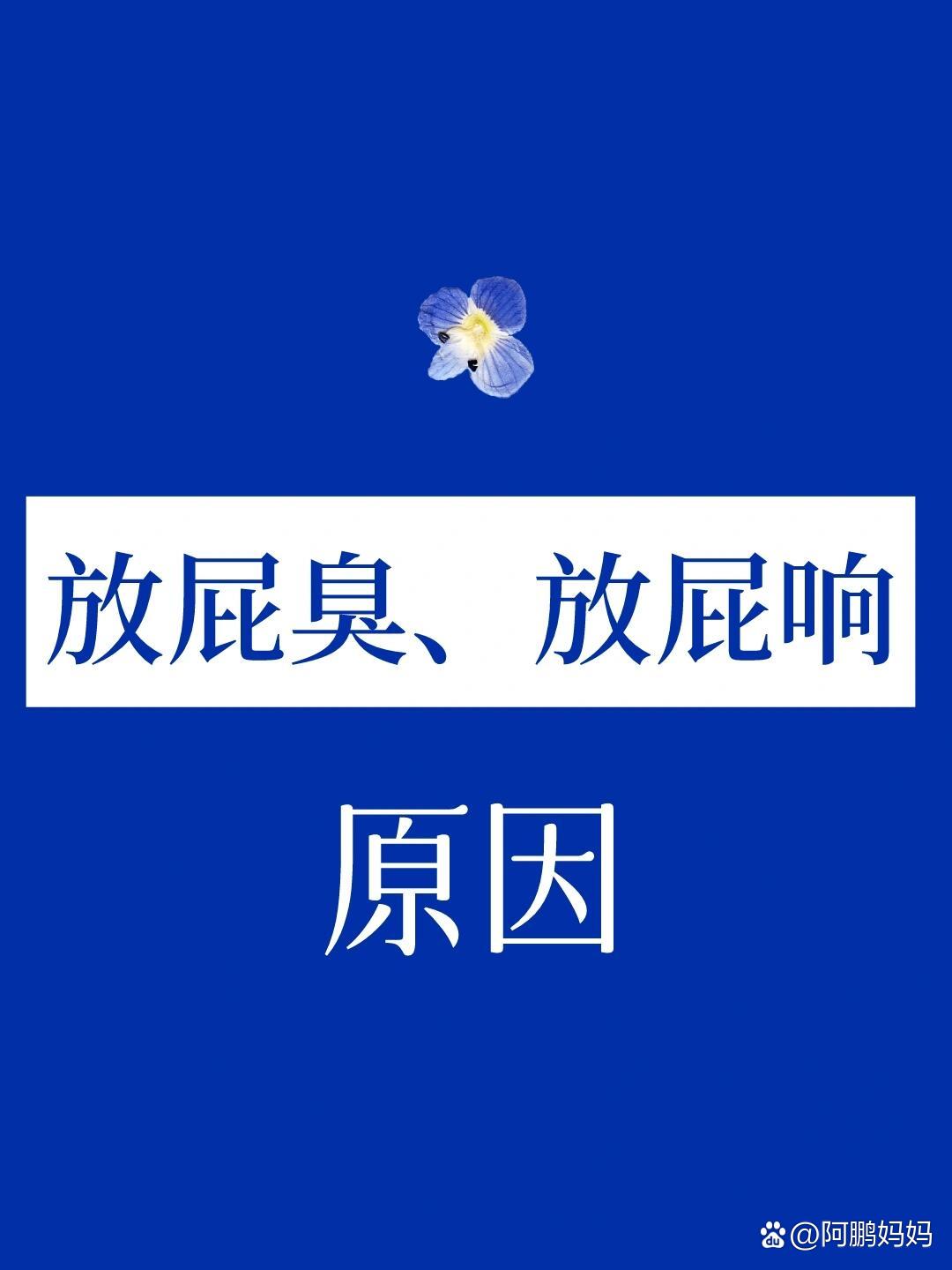 放屁臭是什么原因