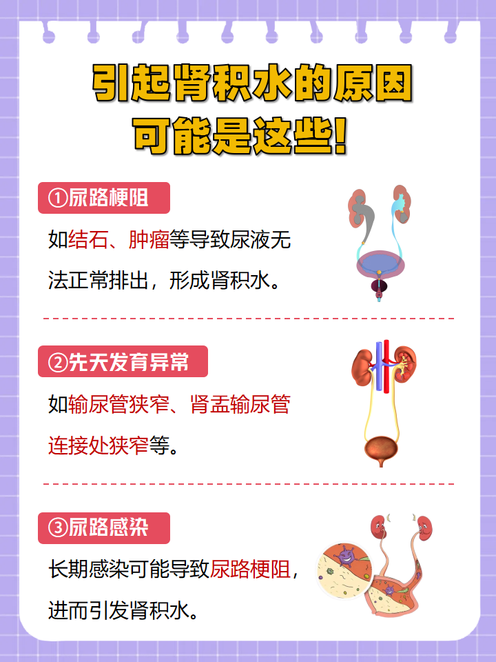 肾盂积水是怎么回事