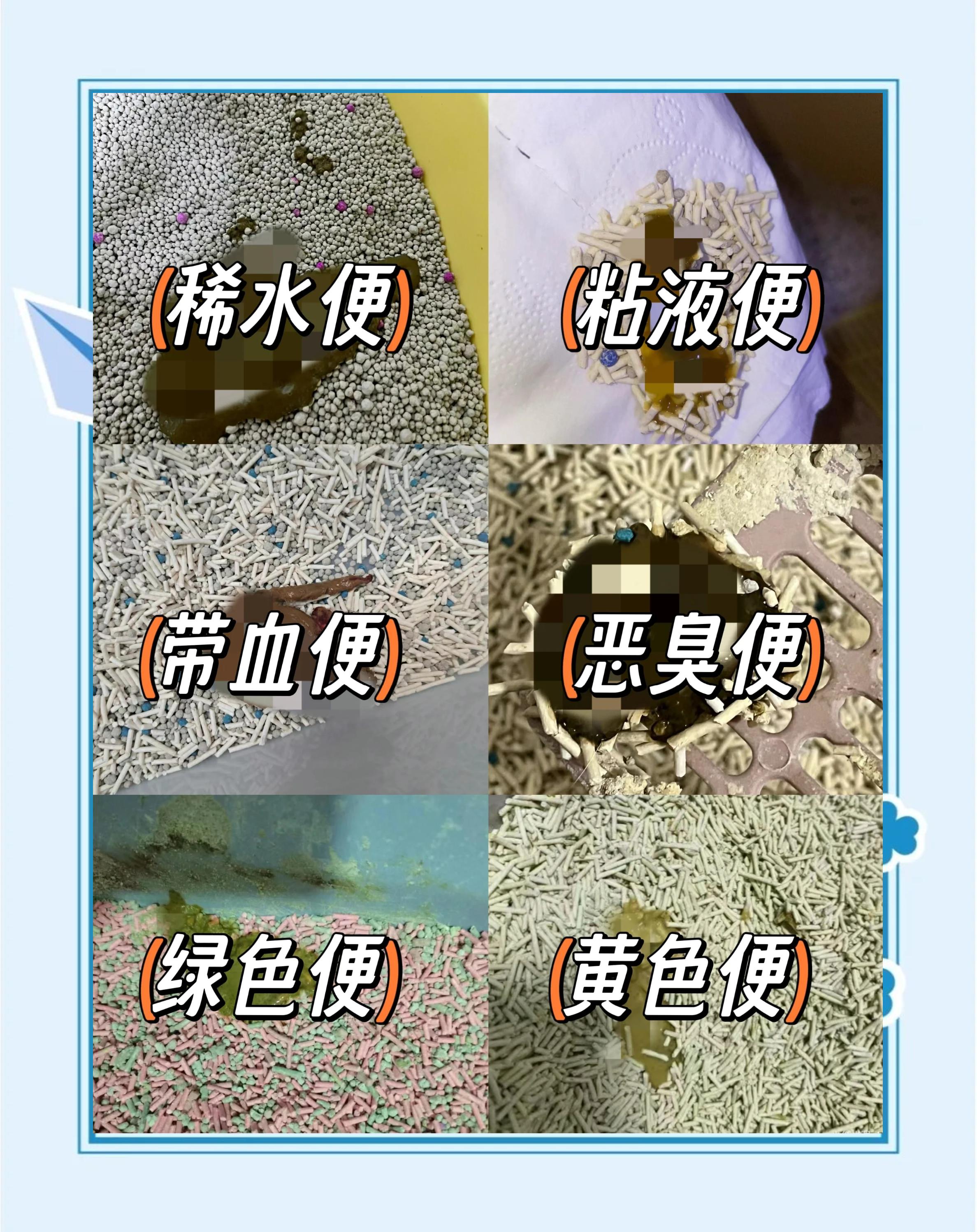 腹泻、拉稀和拉肚子的区别