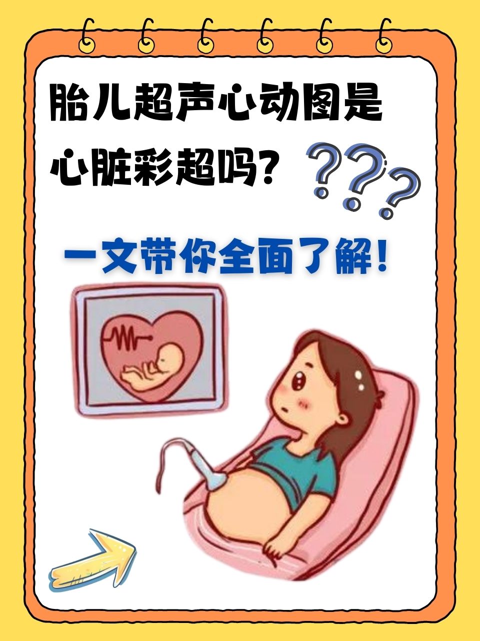 心脏彩超一般多少钱?