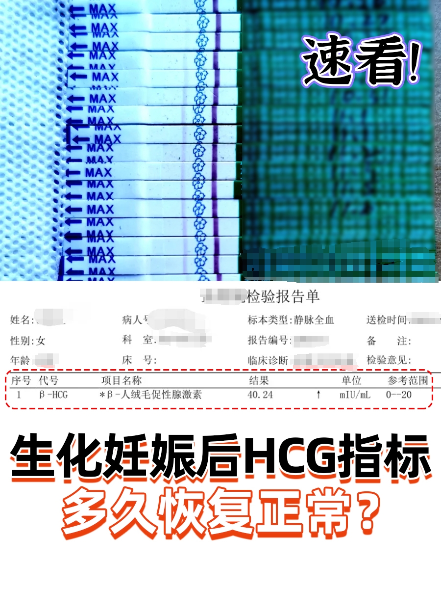 怀孕生化是什么意思