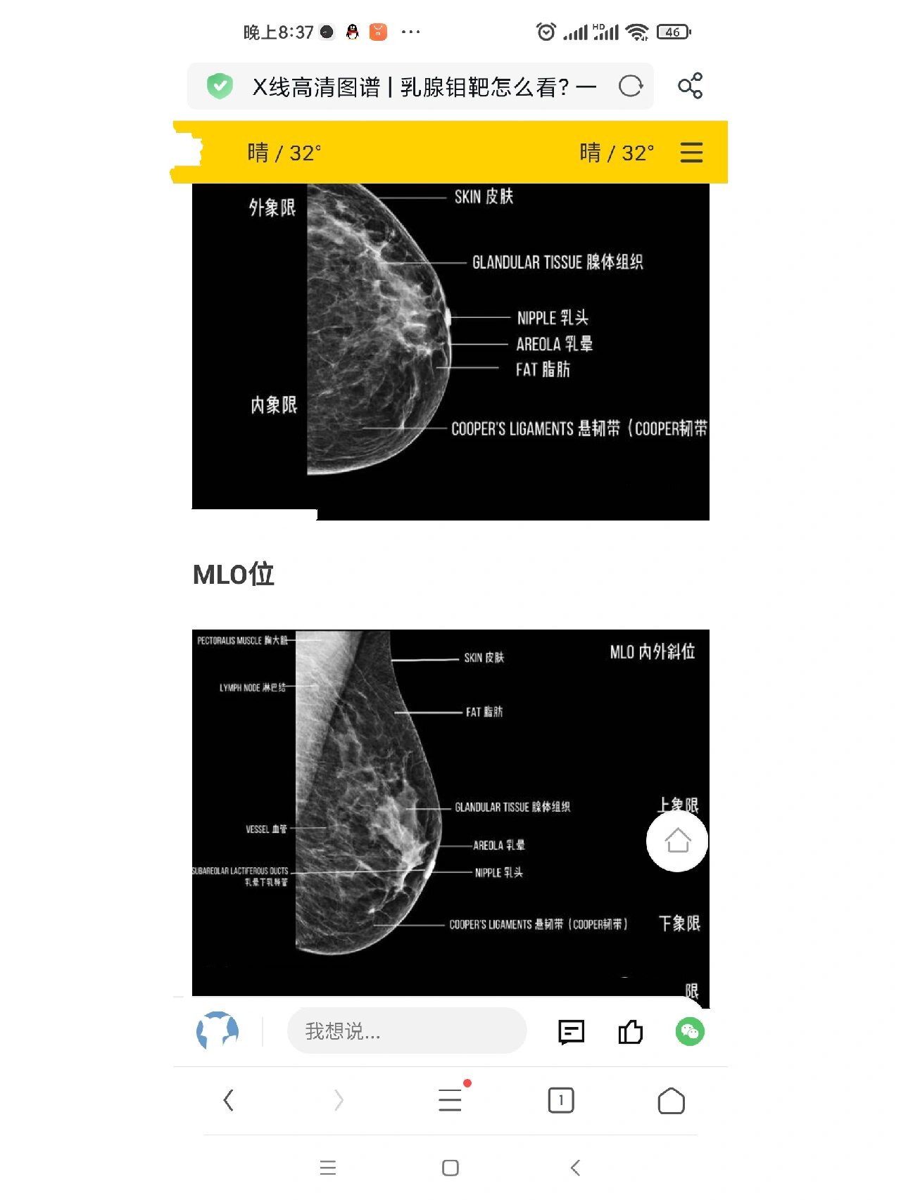 超声钼靶结果解读