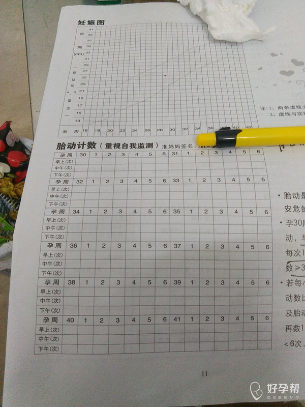 正常胎动次数