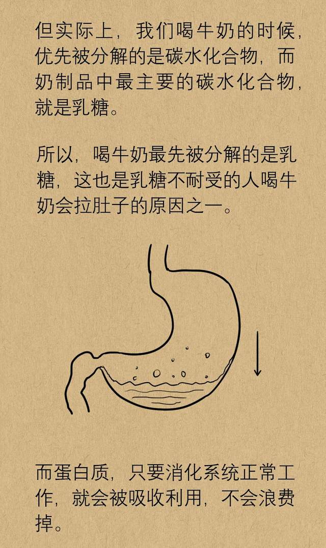 早上喝牛奶好还是晚上喝好?