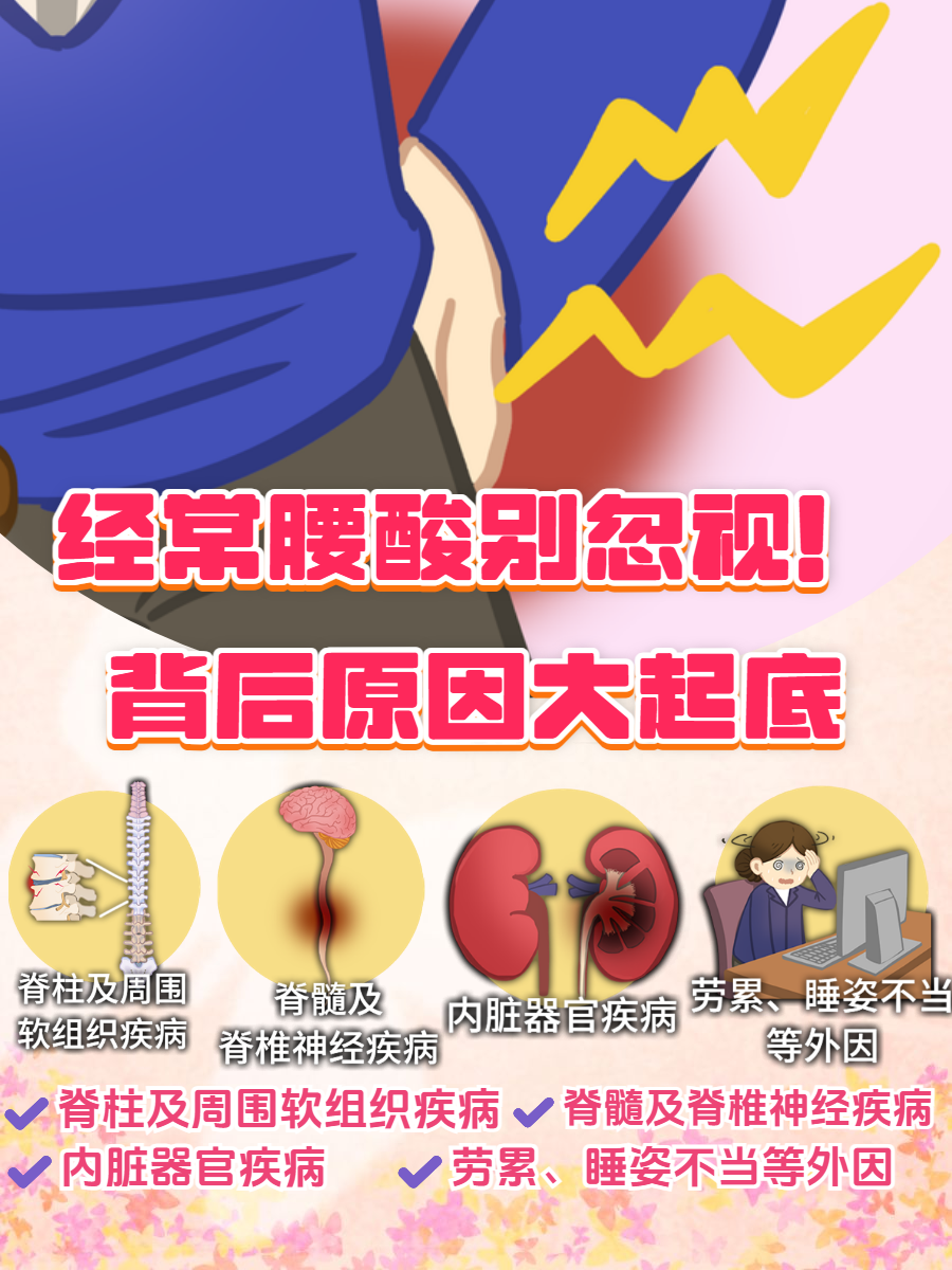 腰酸是为什么
