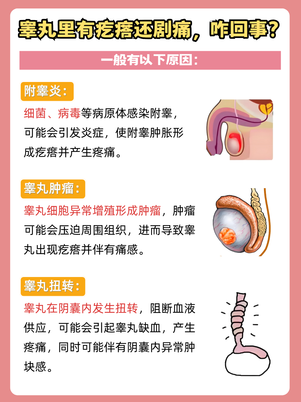 一个睾丸痛是什么原因