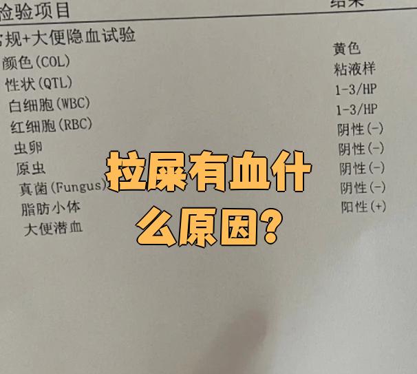 大便出血什么病
