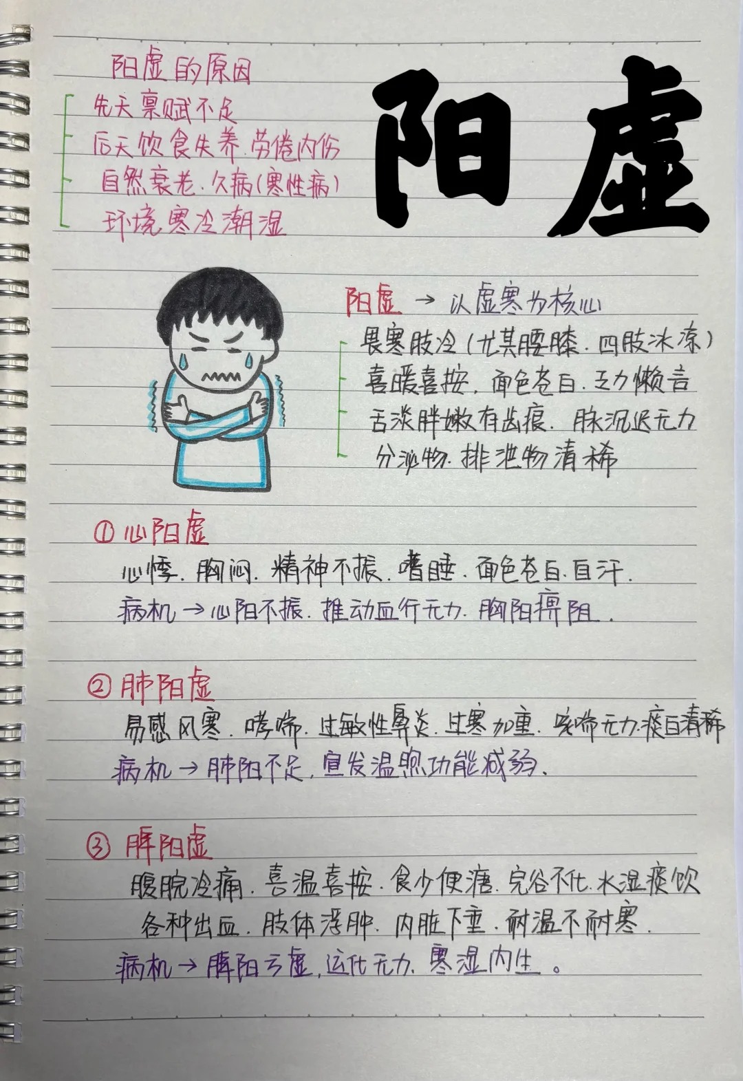 阳虚吃什么食物补