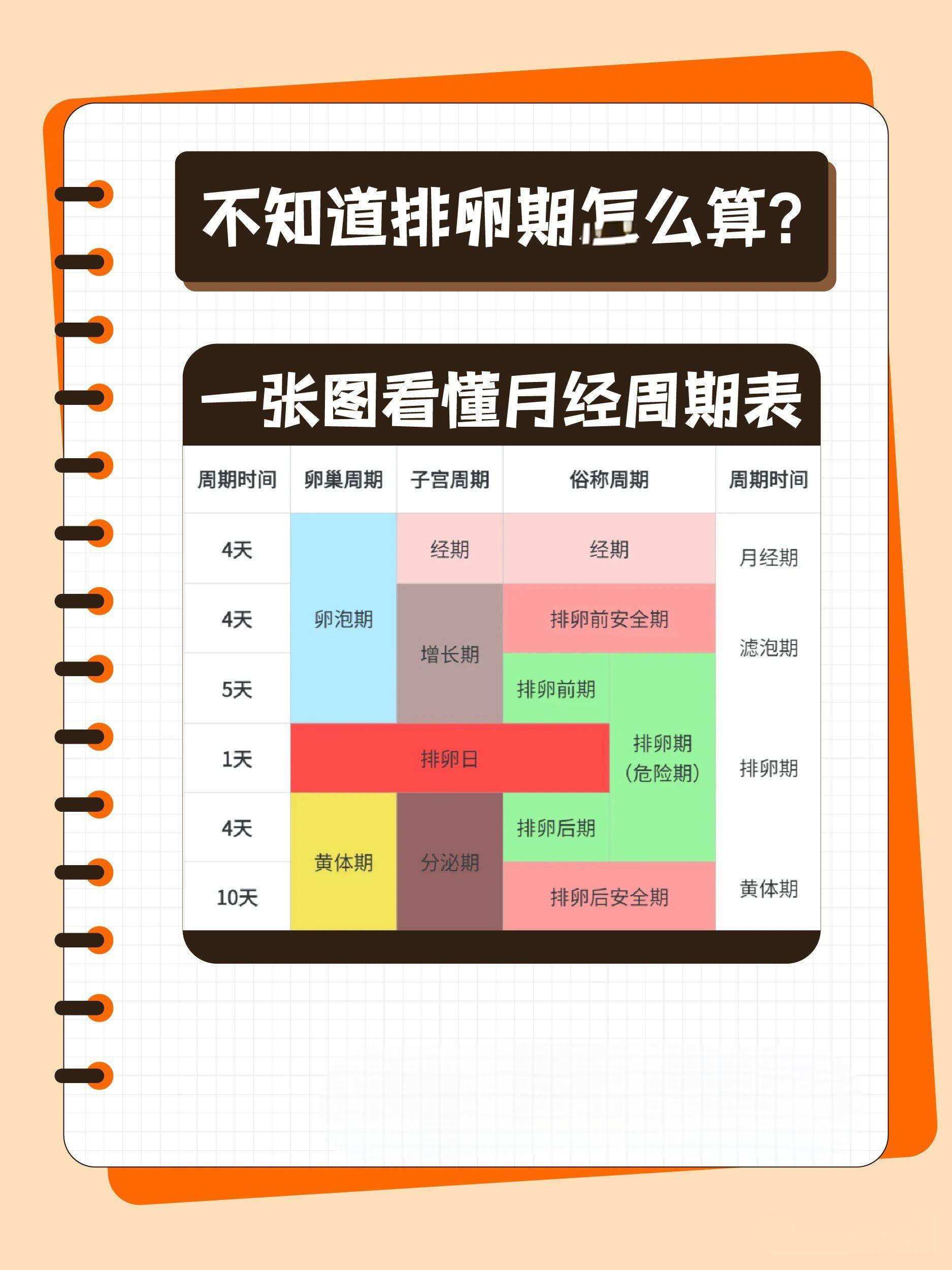 一般女性排卵时间是什么时候