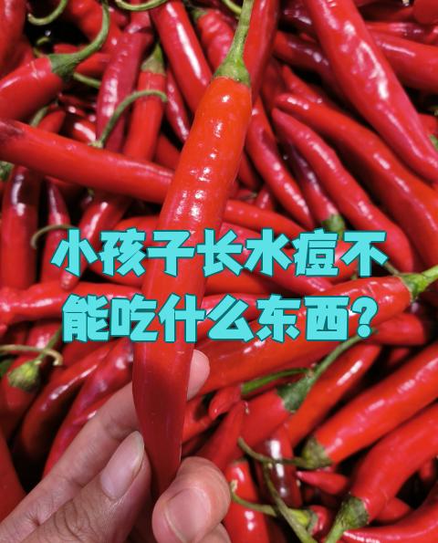 出水痘不能吃什么