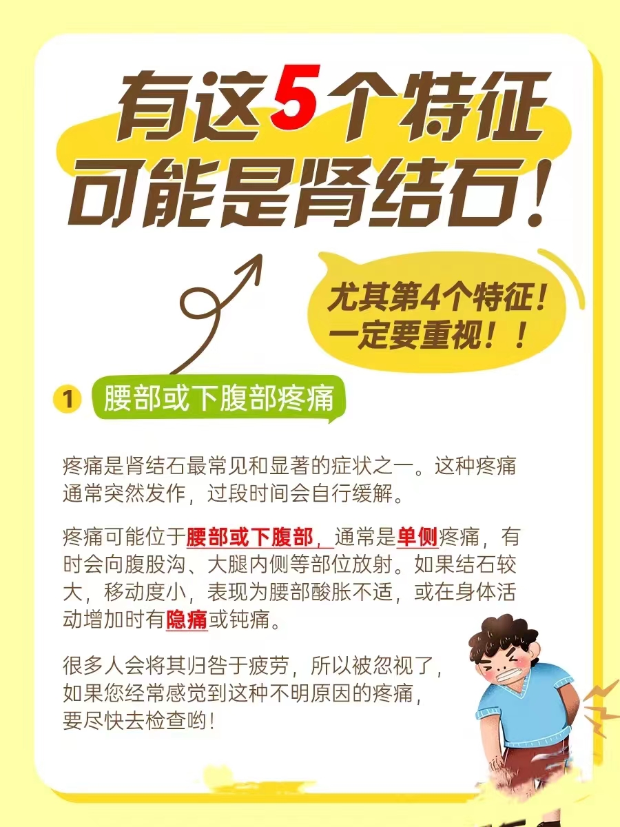 肾结石怎么引起的