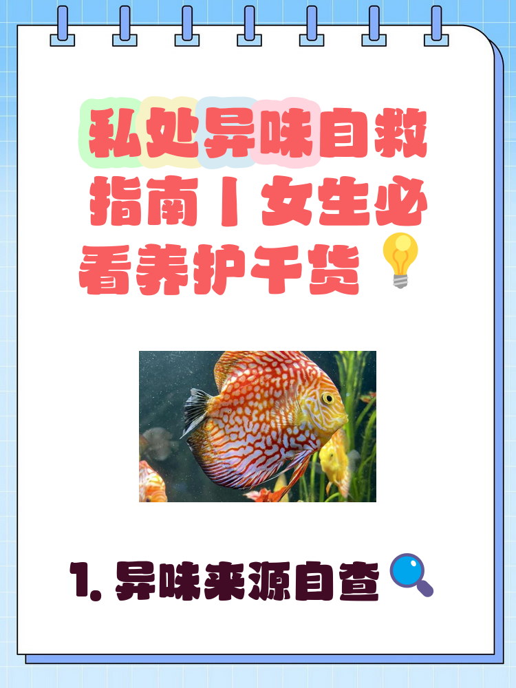 下体有腥臭味是怎么回事
