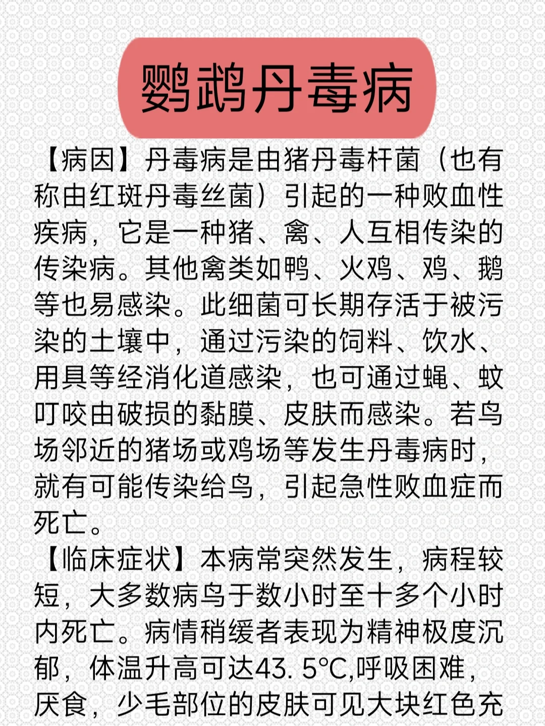 丹毒一般治疗多久能有好转?