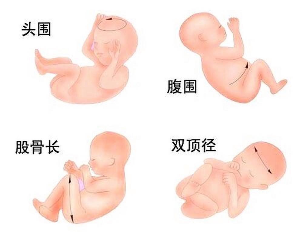 双顶径多大值时表示胎儿完全成熟?