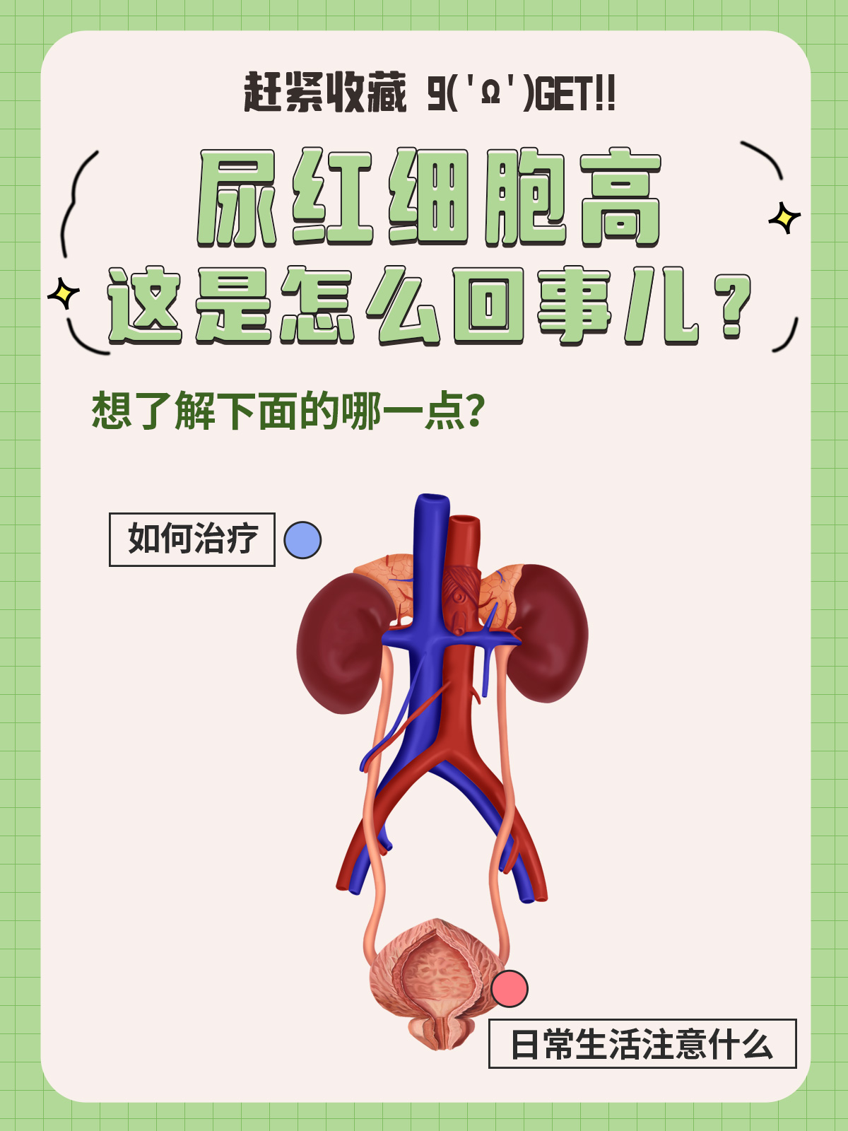 红血球高是怎么回事?