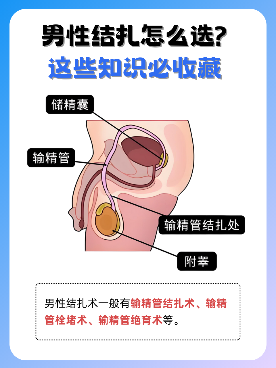 佟青亦 第3页