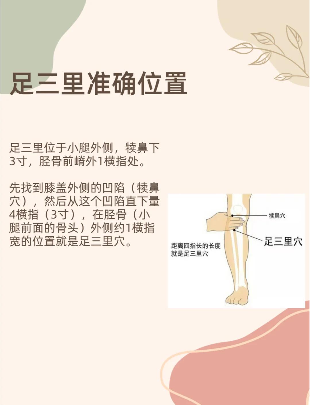 足三里的位置与作用