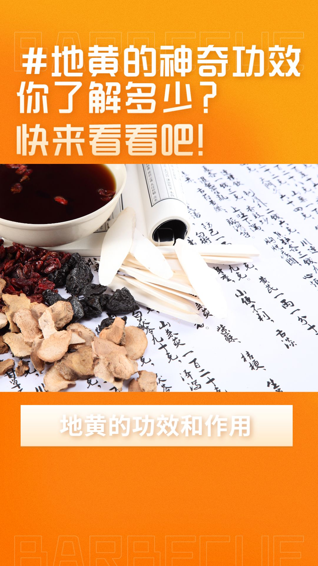 熟地的功效与作用