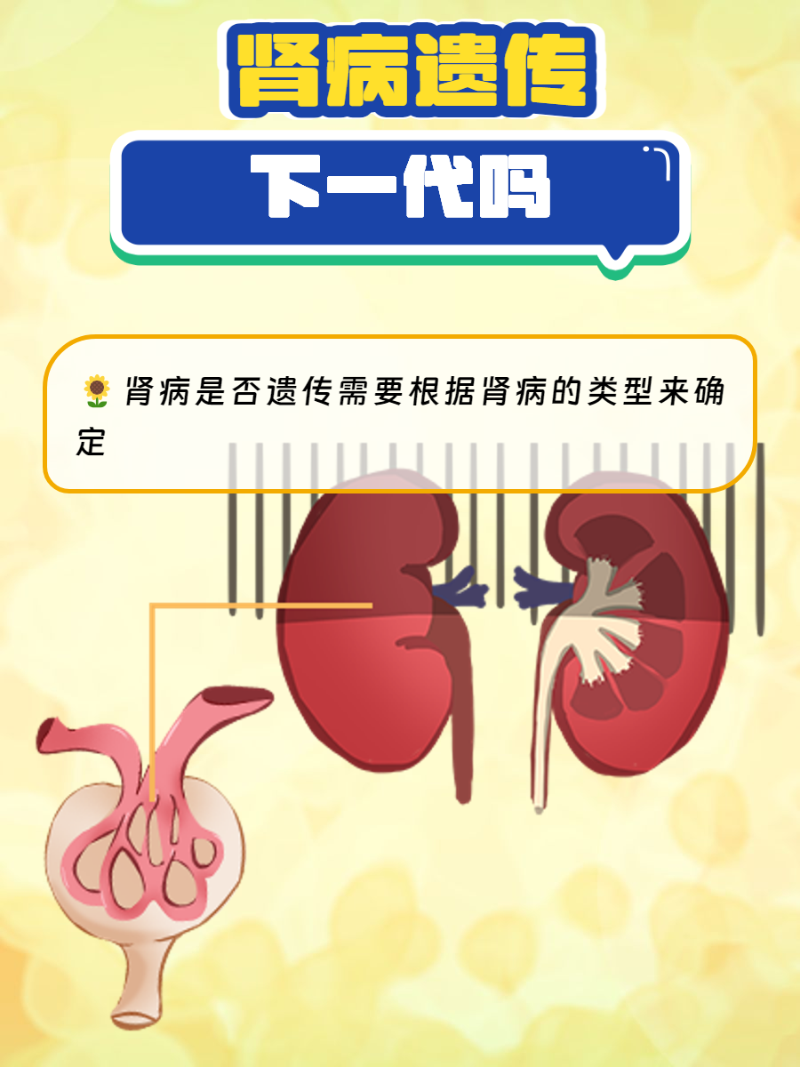 什么是慢性肾盂肾炎