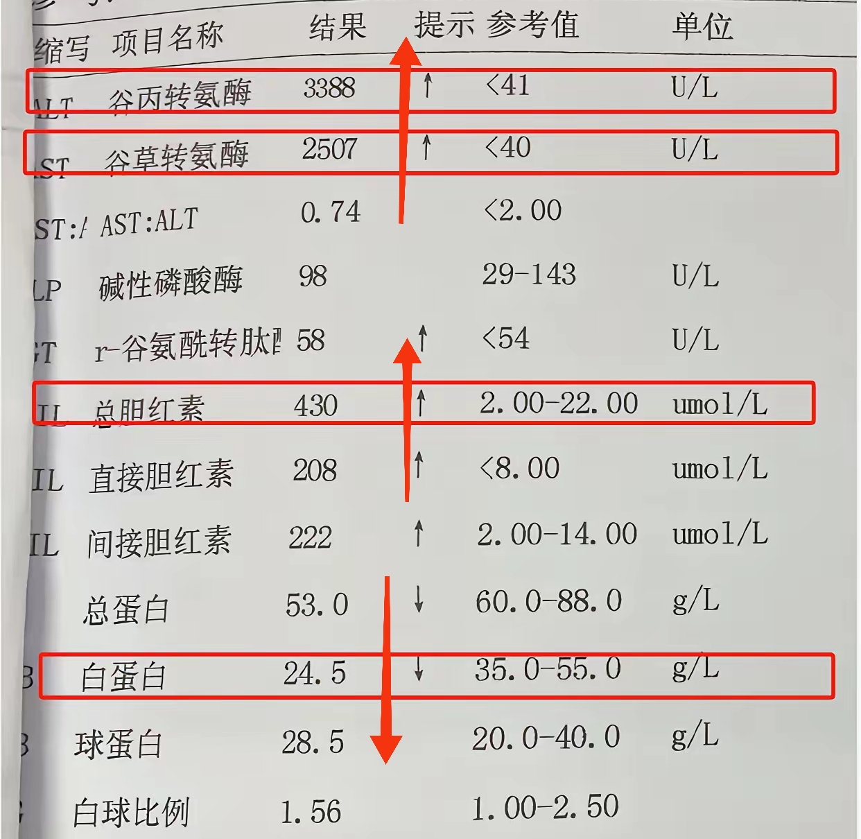 甲胎蛋白高多少是肝癌?