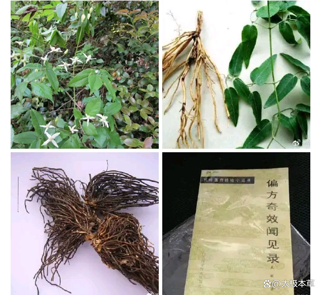 偏方治疗胆囊炎的方法?