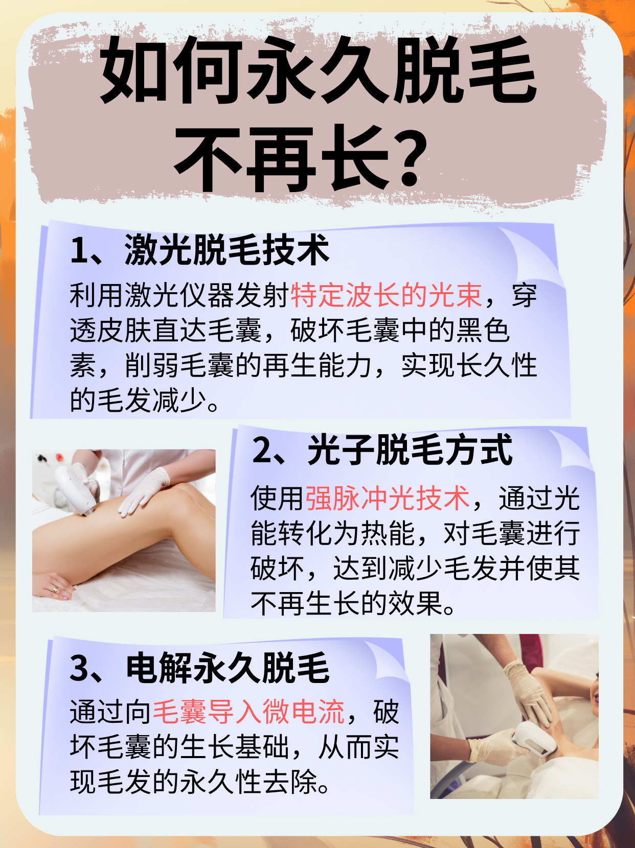 藏雪帆 第2页