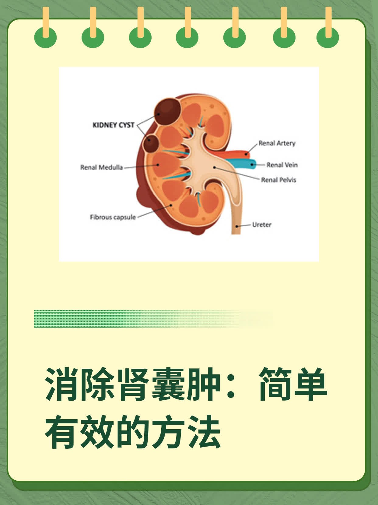 右肾囊肿注意吃什么好?
