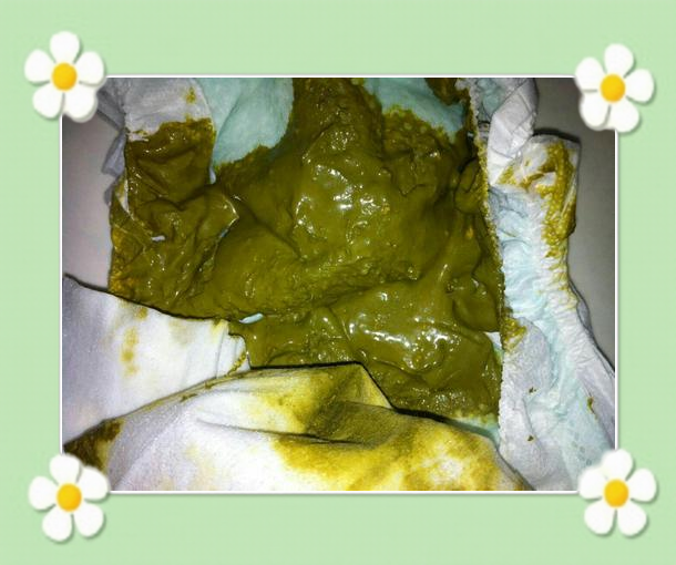 茂晓莉 第2页