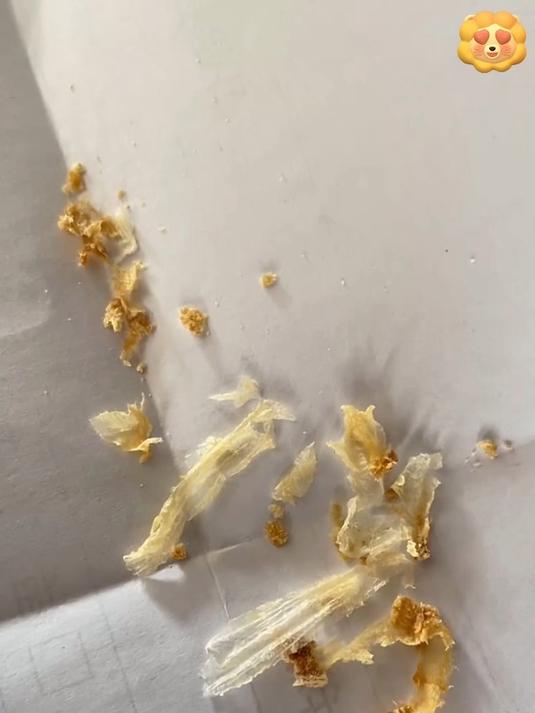 行梧桐 第2页