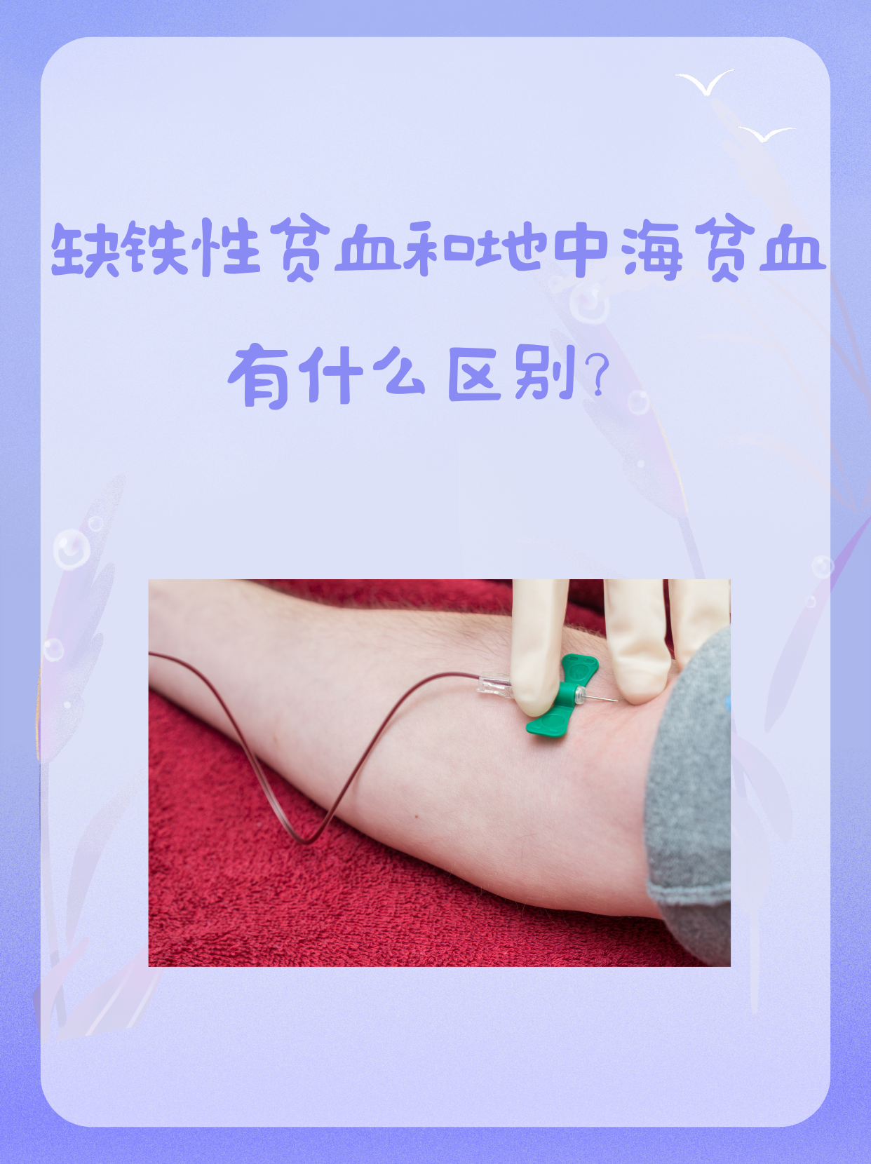 地中海贫血能生小孩吗