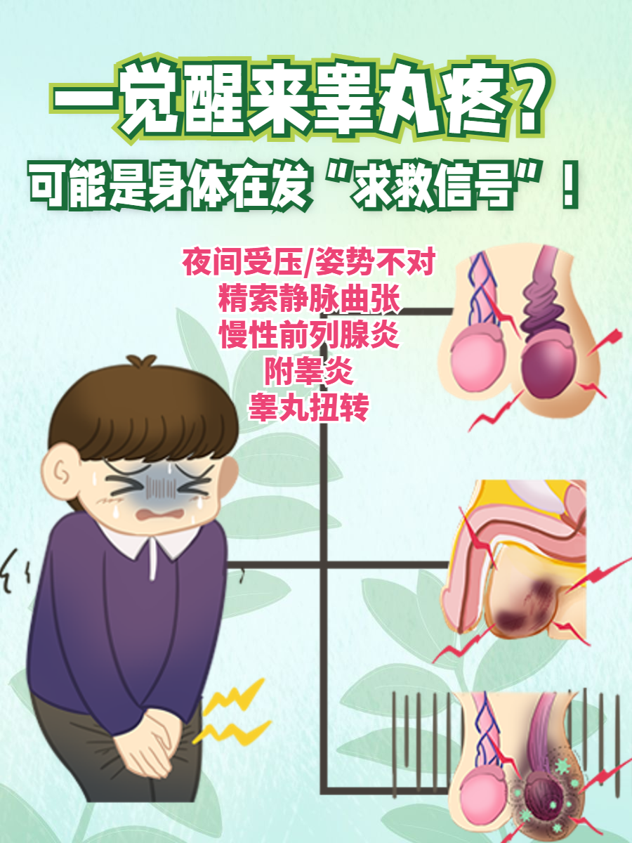 睾丸隐隐作痛