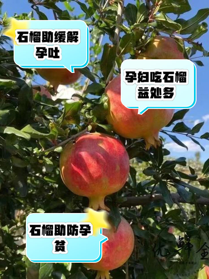 孕妇吃石榴好吗
