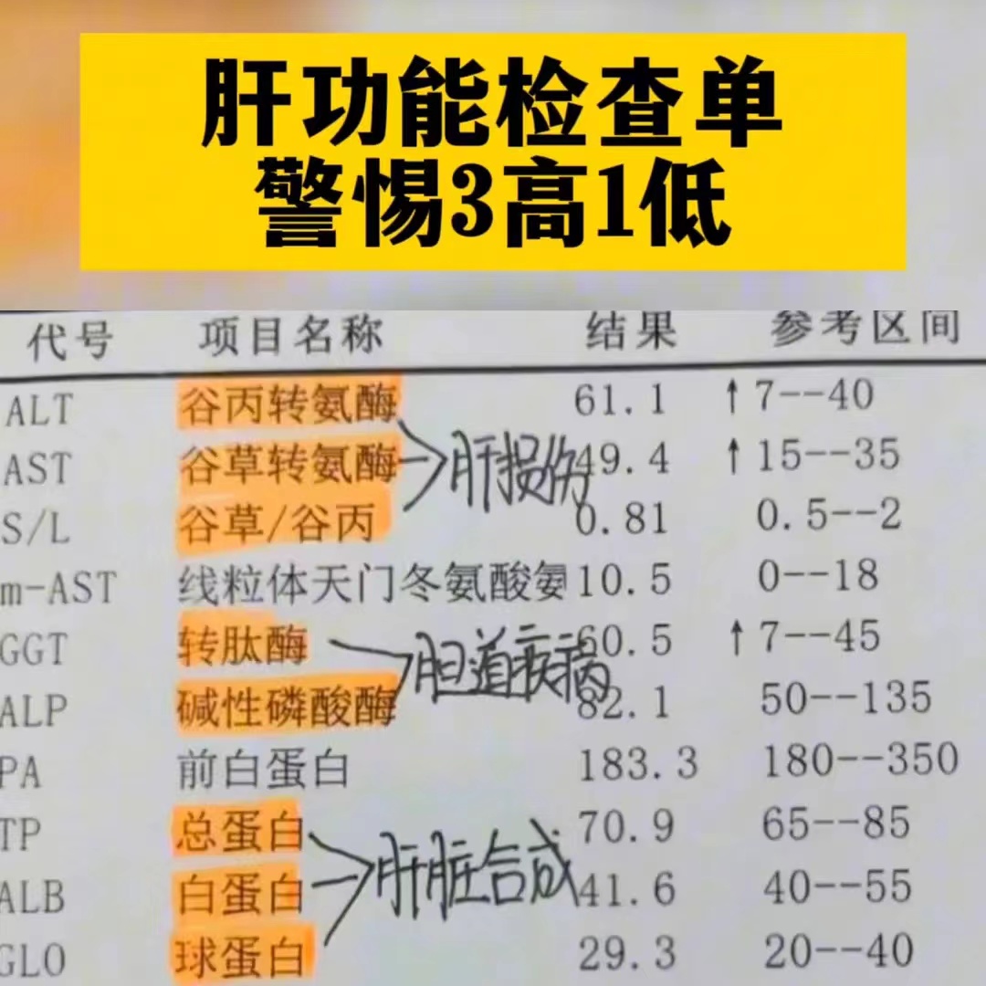 谷草转氨酶过高有什么危害