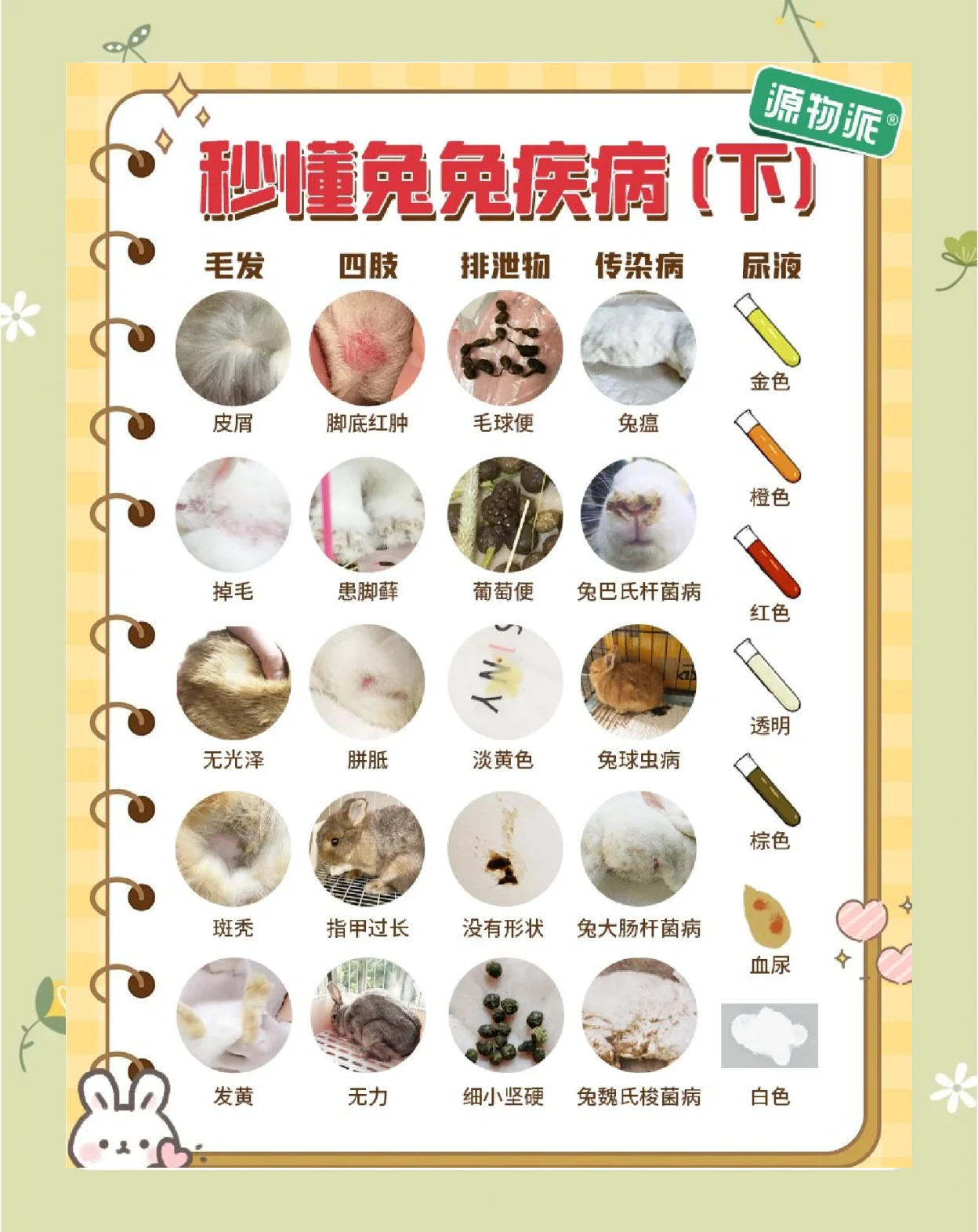 兔子咬了要打疫苗吗