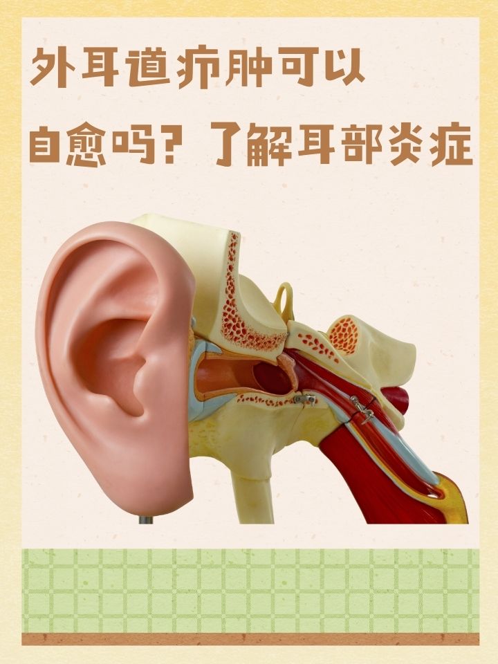 耳朵流脓怎么治疗