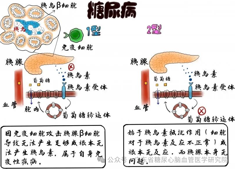 力昆 第2页