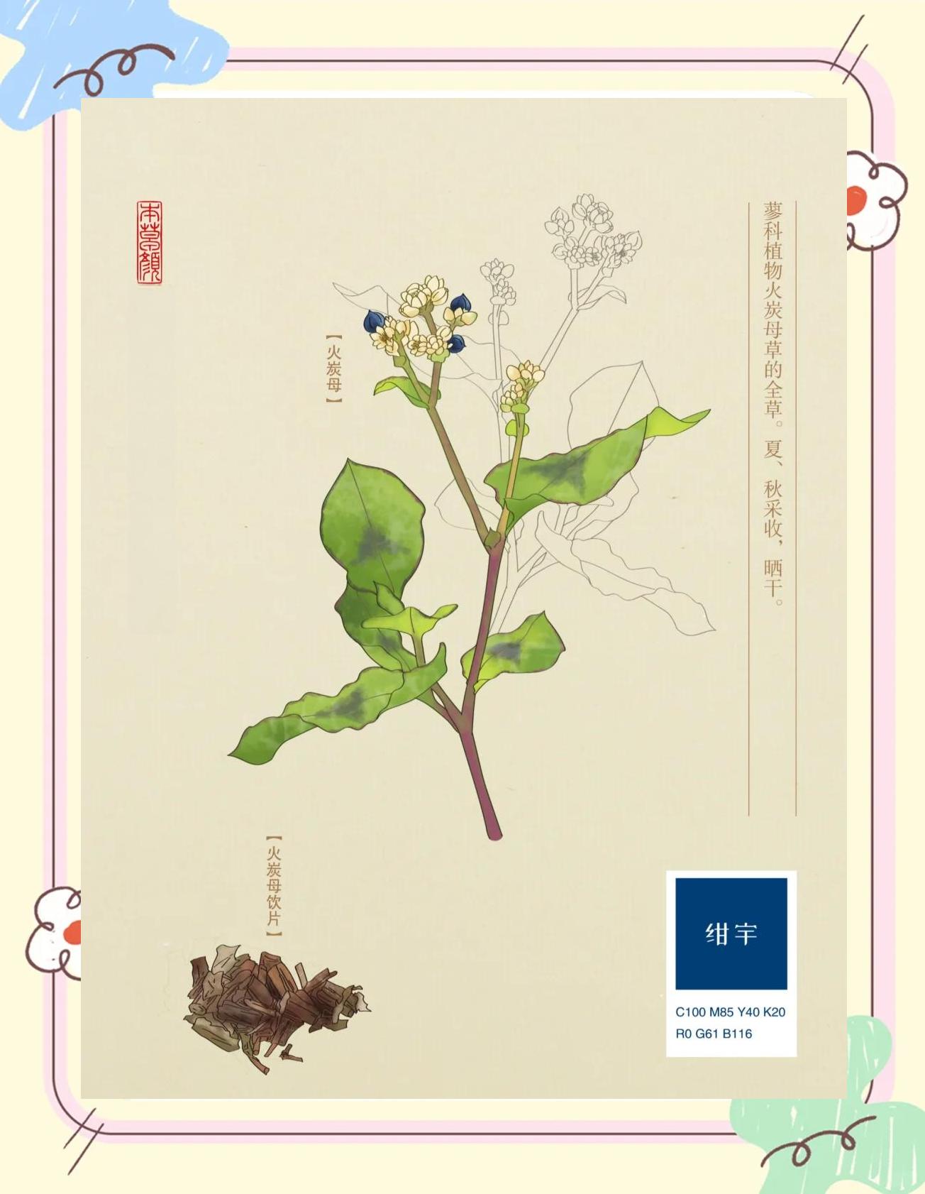 中药火炭母功效与作用