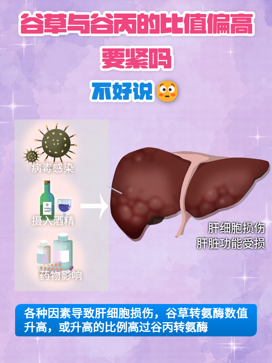 谷草转氨酶指的是什么