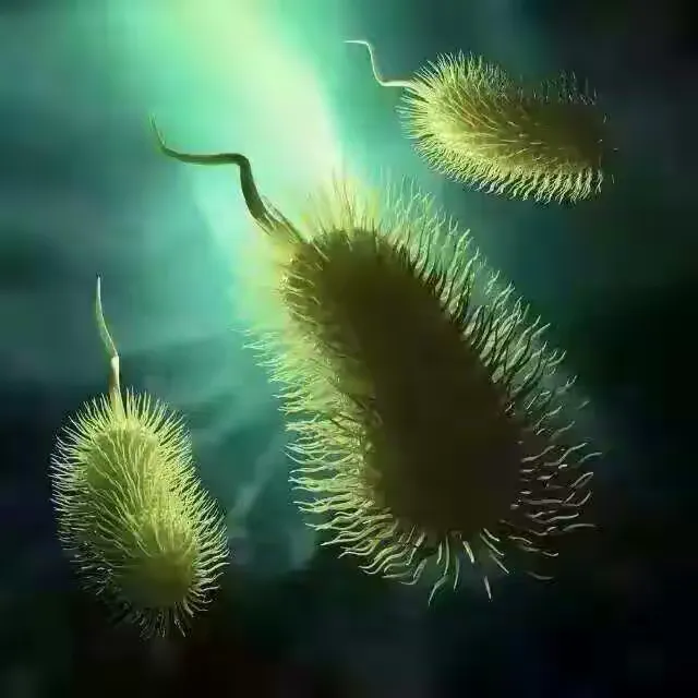 白带豆腐渣绿色严重吗
