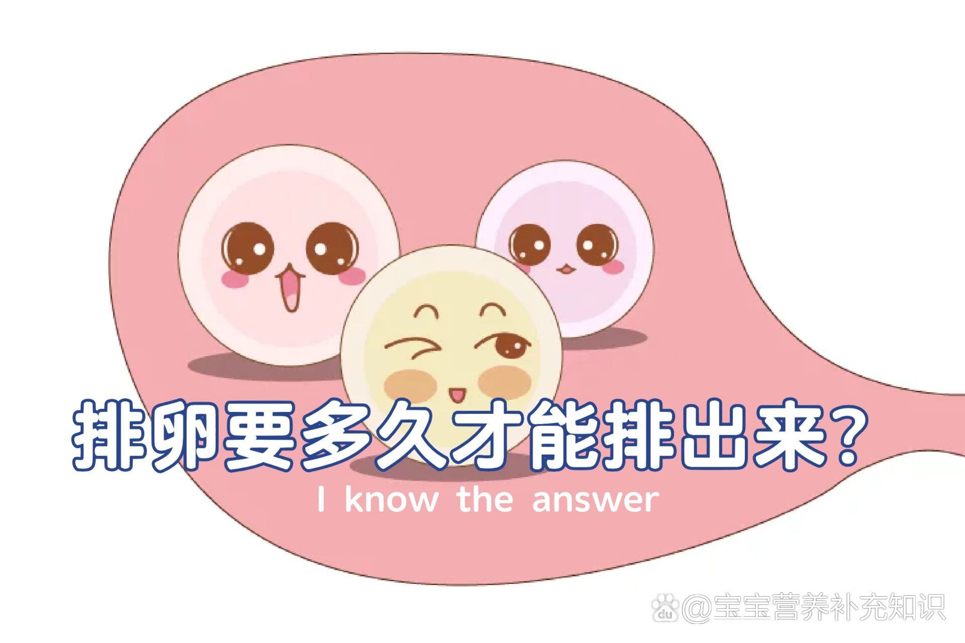 卵子能存活多久