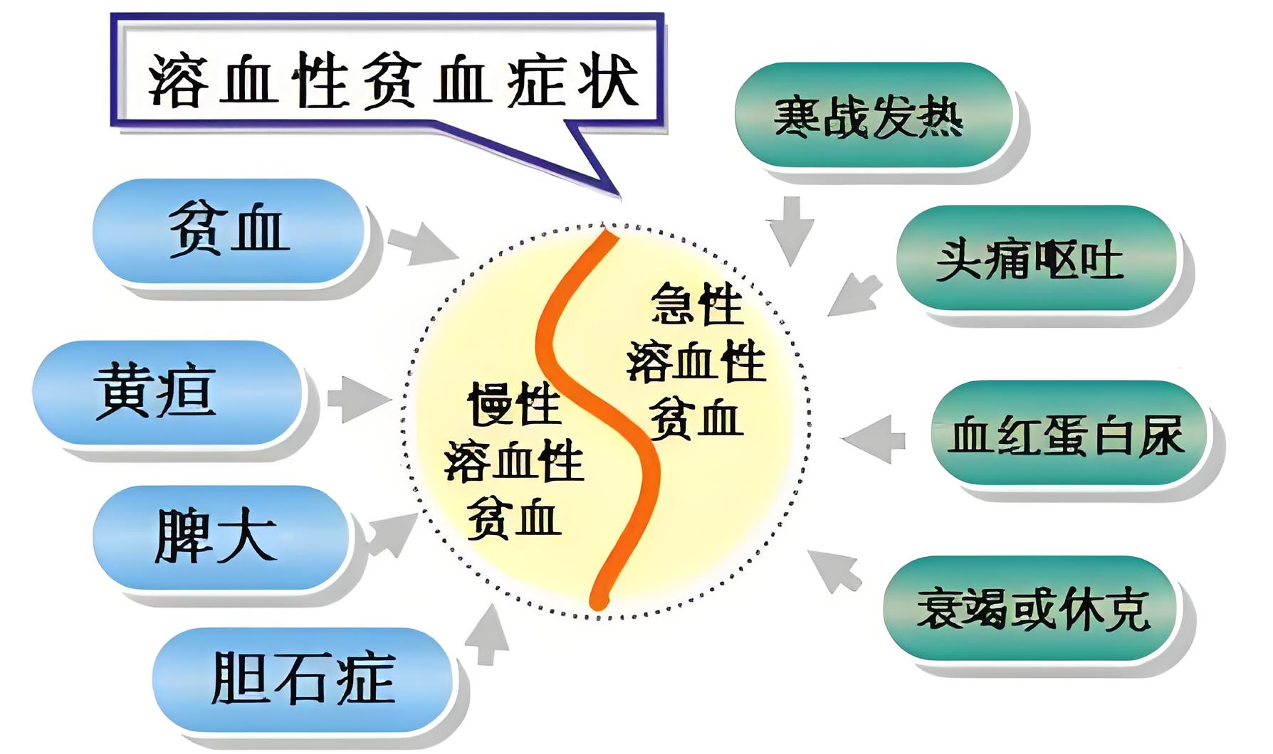 严重贫血有什么症状