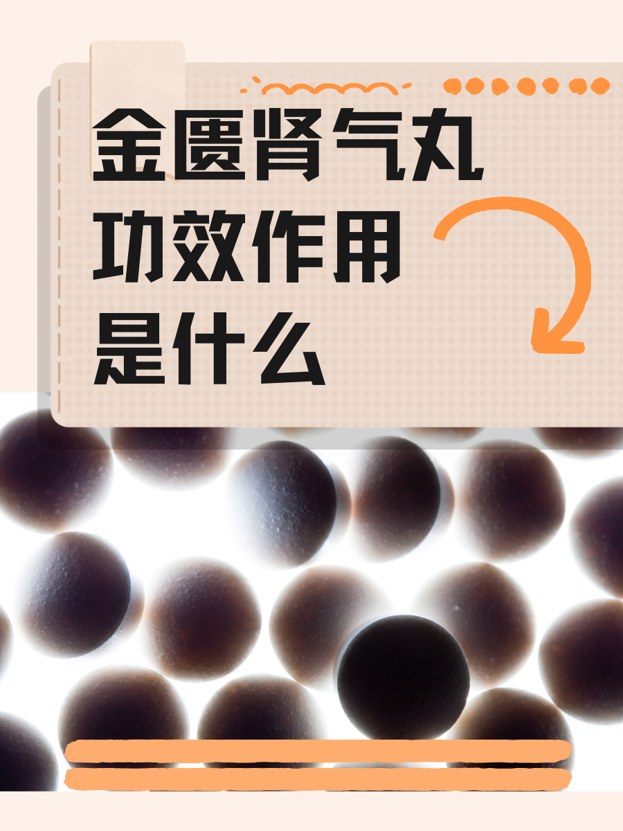 金匮肾气丸