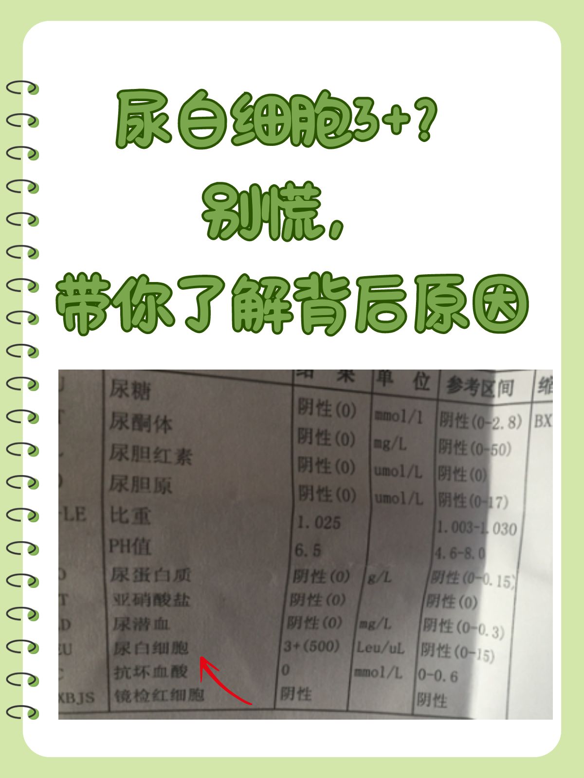 尿白细胞弱阳性是什么意思?