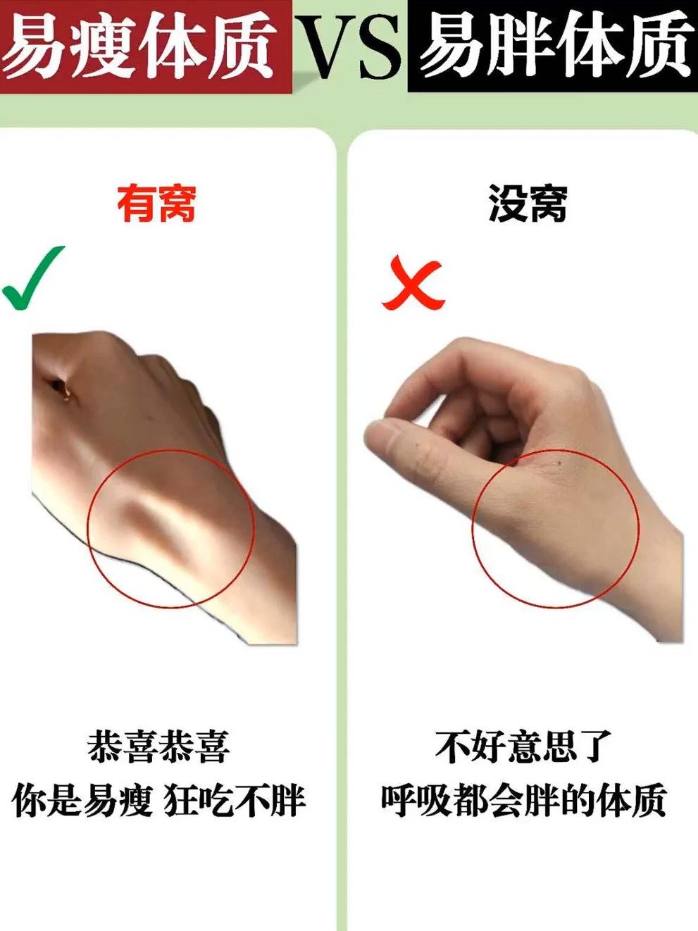 怎么样改变易胖体质?